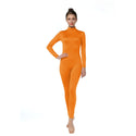 ALLNOWA Mock Turtleneck Full Body Unitard Spandex Long Sleeve Footless One Piece Bodysuit Adult Unisex J302